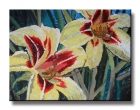 Stargazers I