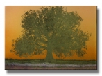 Bodhi Tree